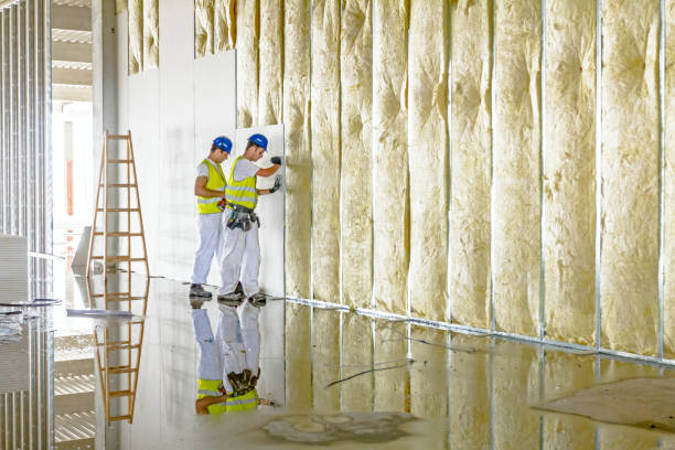 Best Commercial Insulation in East Troy, WI